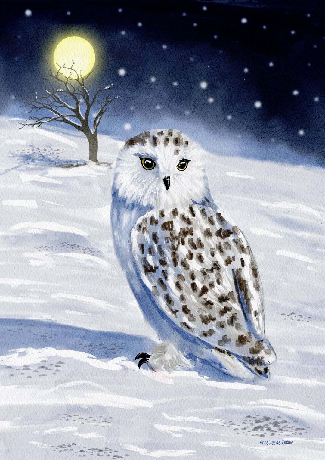 Annelies de Zeeuw, Snowy Owl