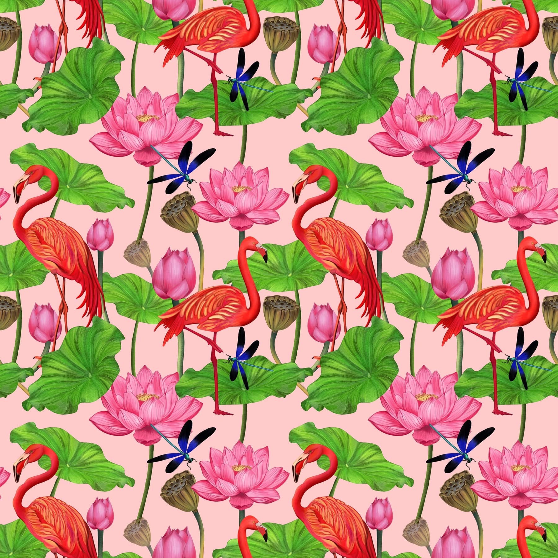 Rakshatha Padpu, Tropical Pattern